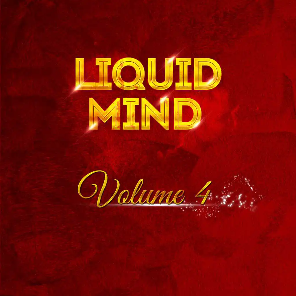 Liquid Mind Vol 4