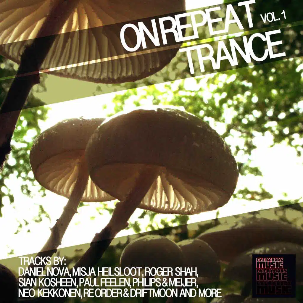 Roger Shah & Sian Kosheen