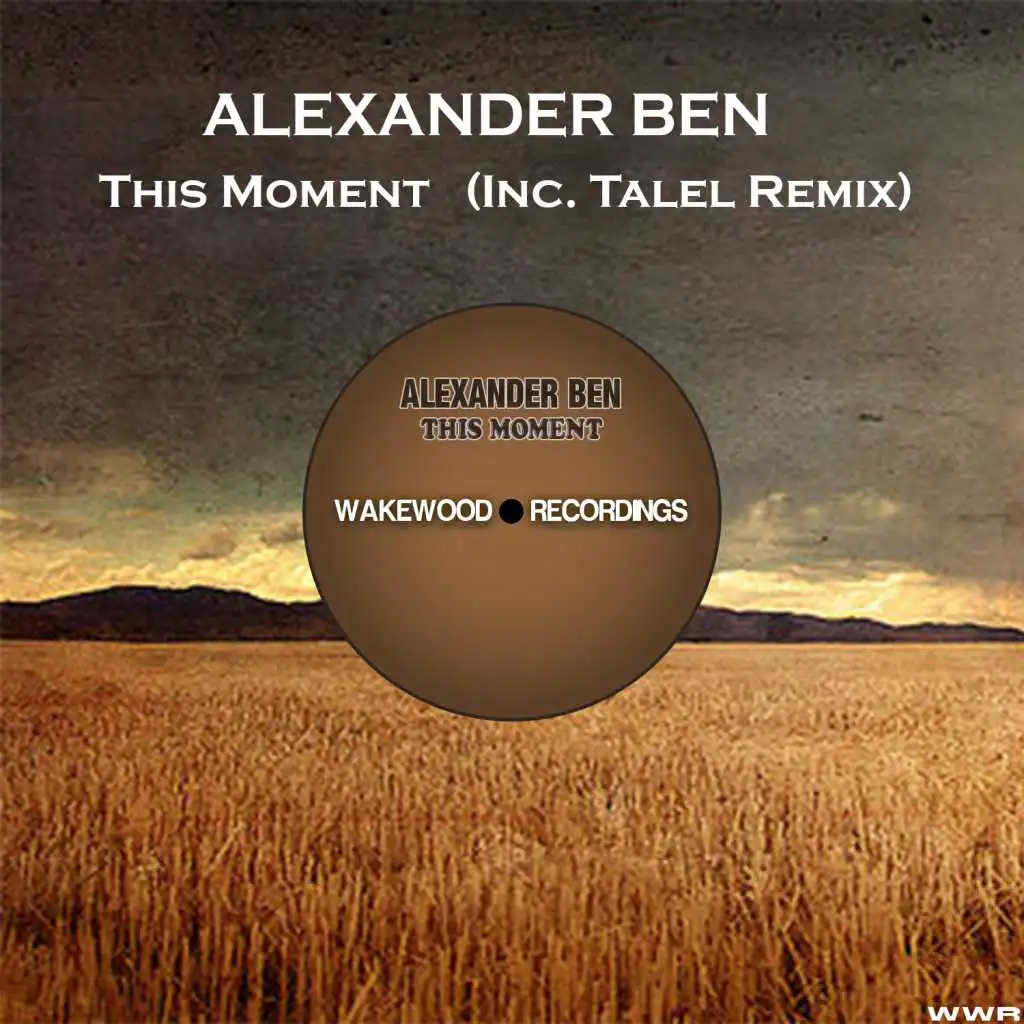 This Moment (Talel Remix)