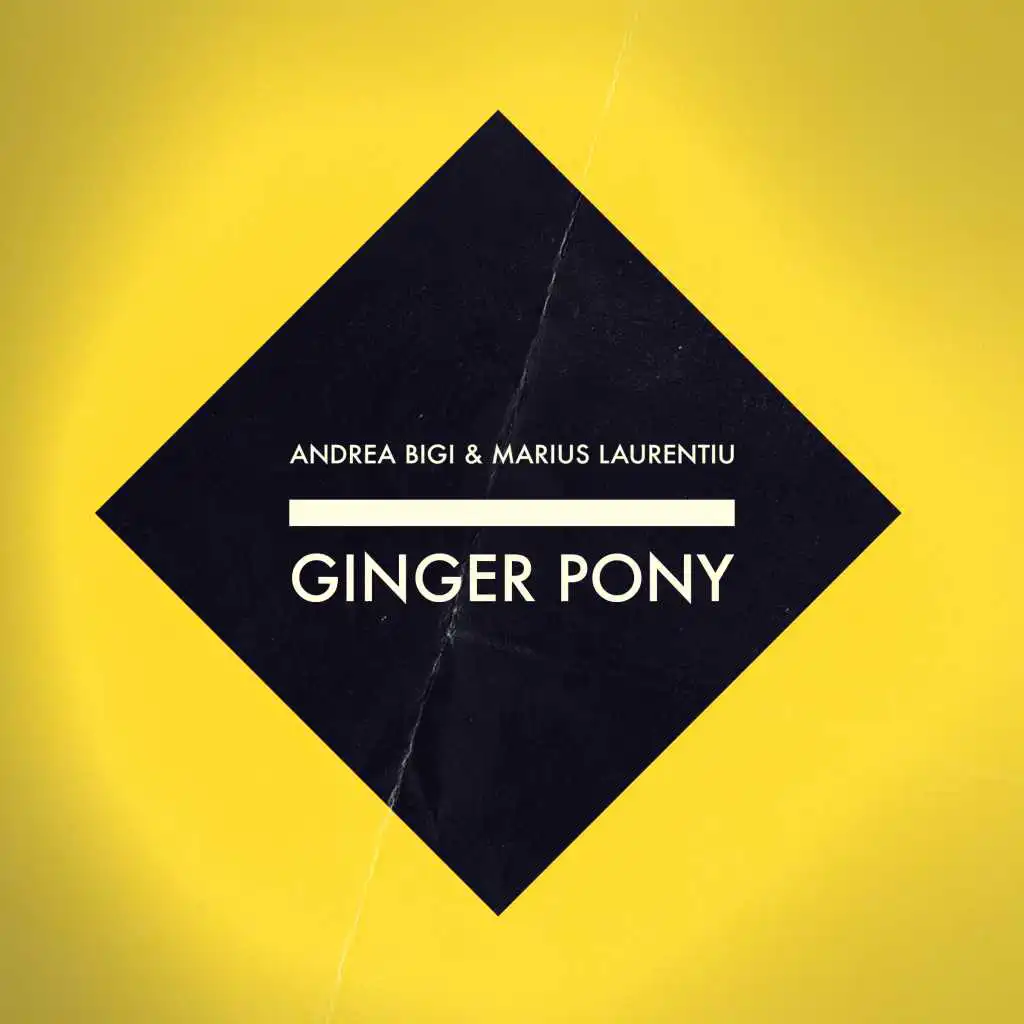 Ginger Pony