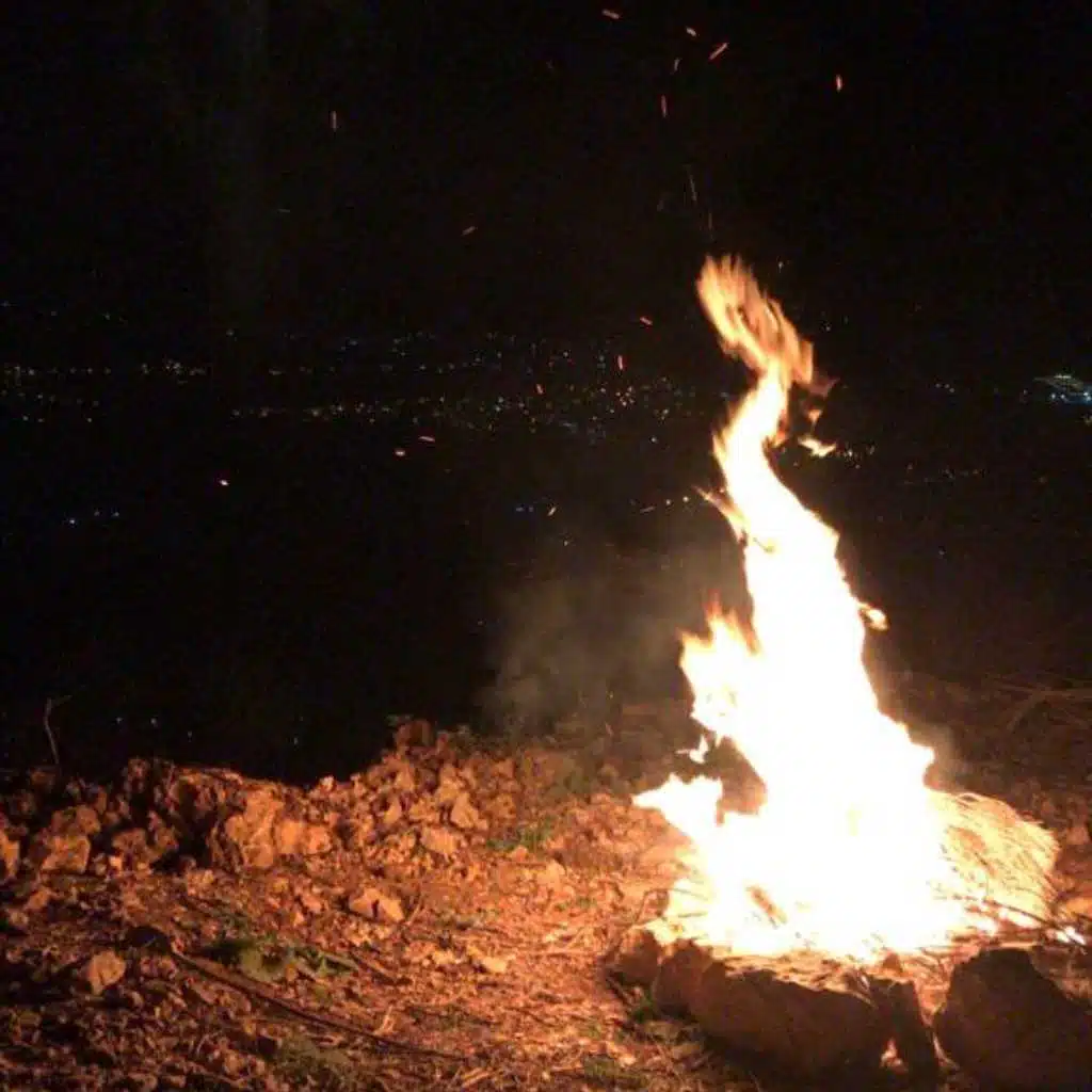 ربيع و نسمات