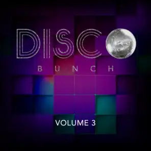 Disco Bunch, Vol. 3
