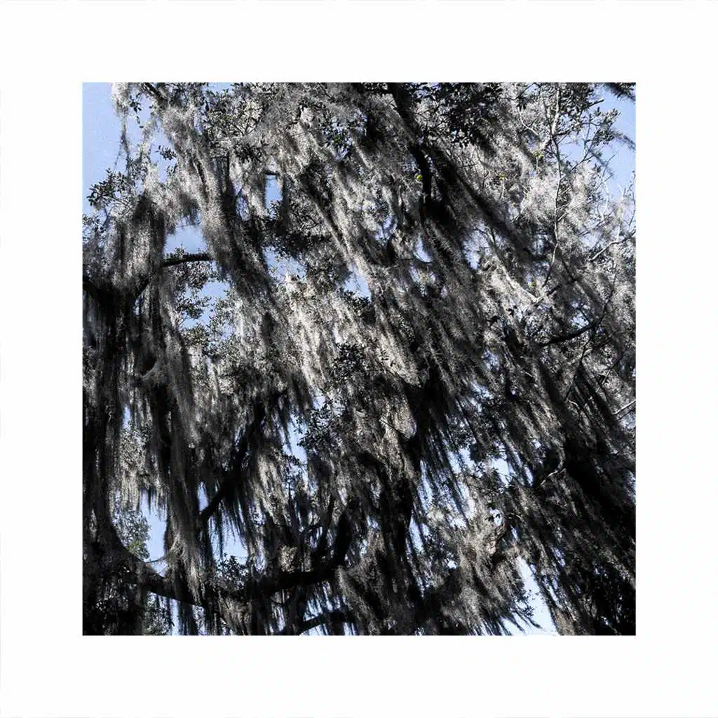 Talk Me Down #ThursdayFirst