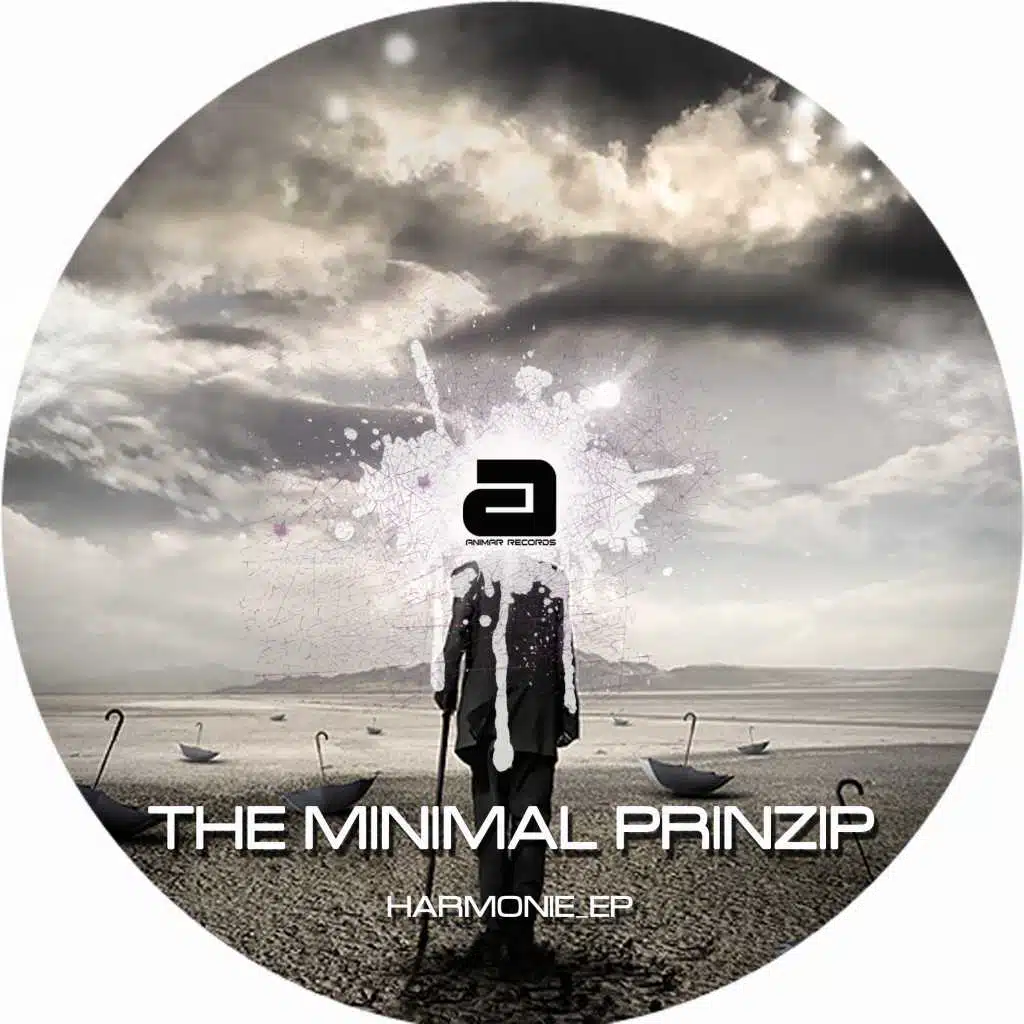 THE MINIMAL PRINZIP