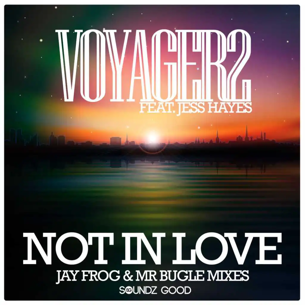 Not In Love (Jay Frog and Mr Bugle Dub Mix) [feat. Jess Hayes]