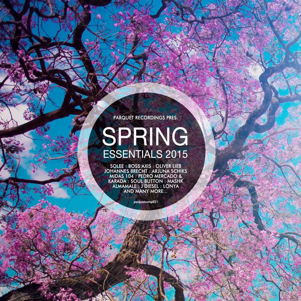 Spring Essentials 2015 - Presented By Parquet Recordings