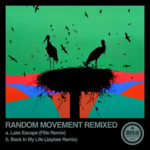 Lake Escape (Flite Remix)