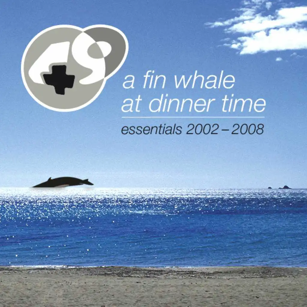 A Fin Whale At Dinner Time