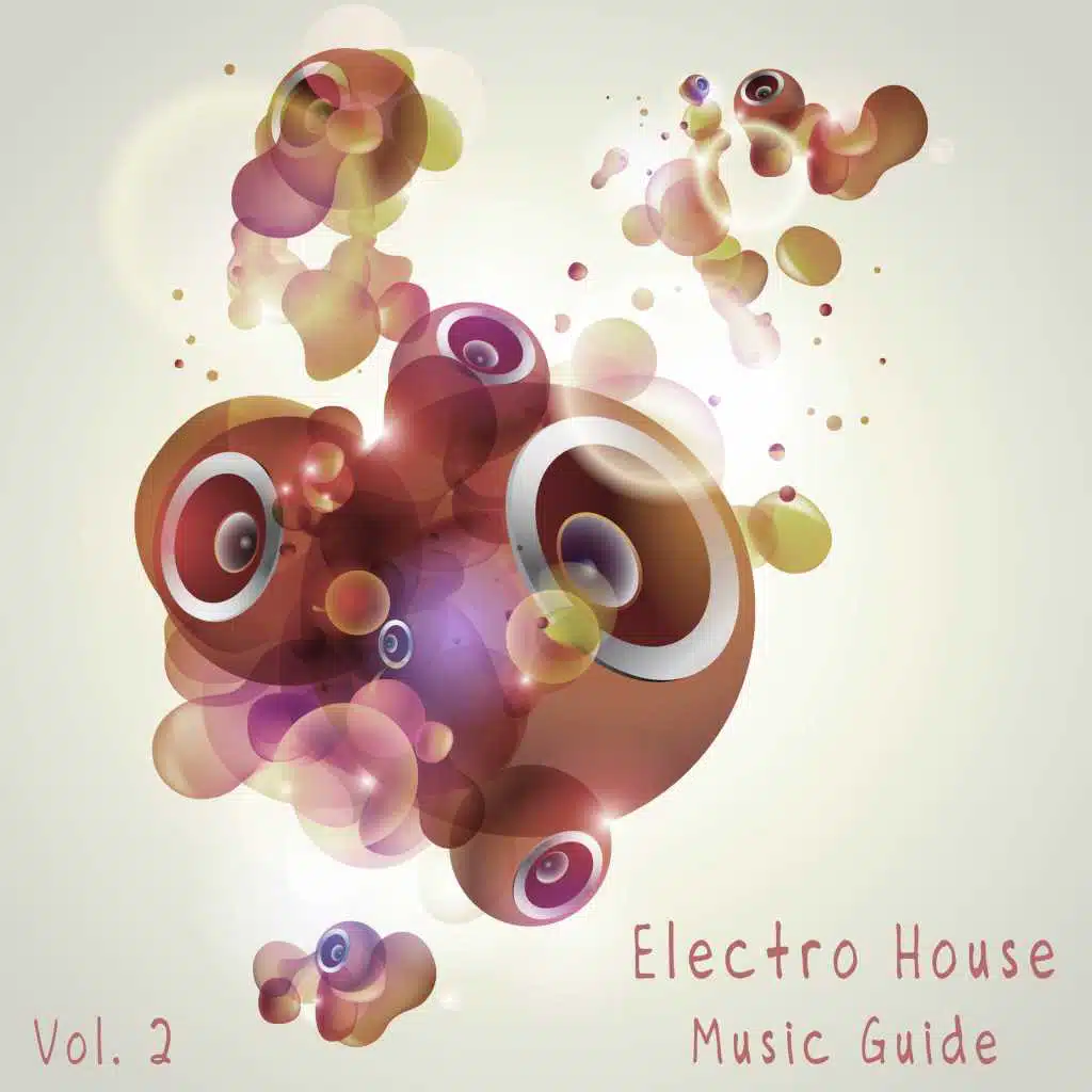 Electro House Music Guide, Vol. 2