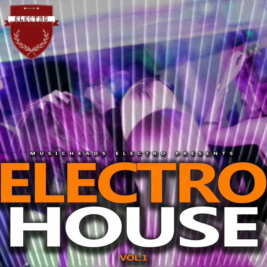 Electro House, Vol. 1