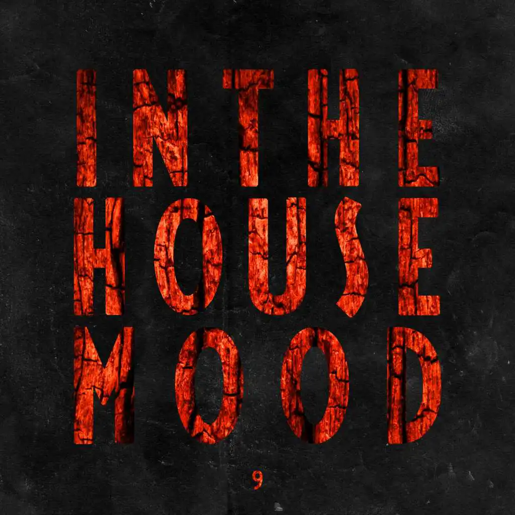 In the House Mood, Vol. 9