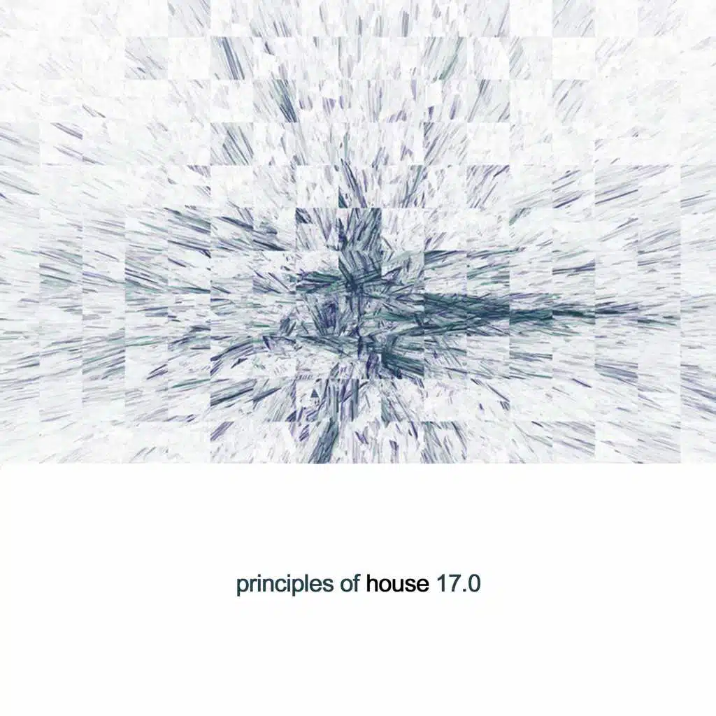 Principles of House, Vol. 17