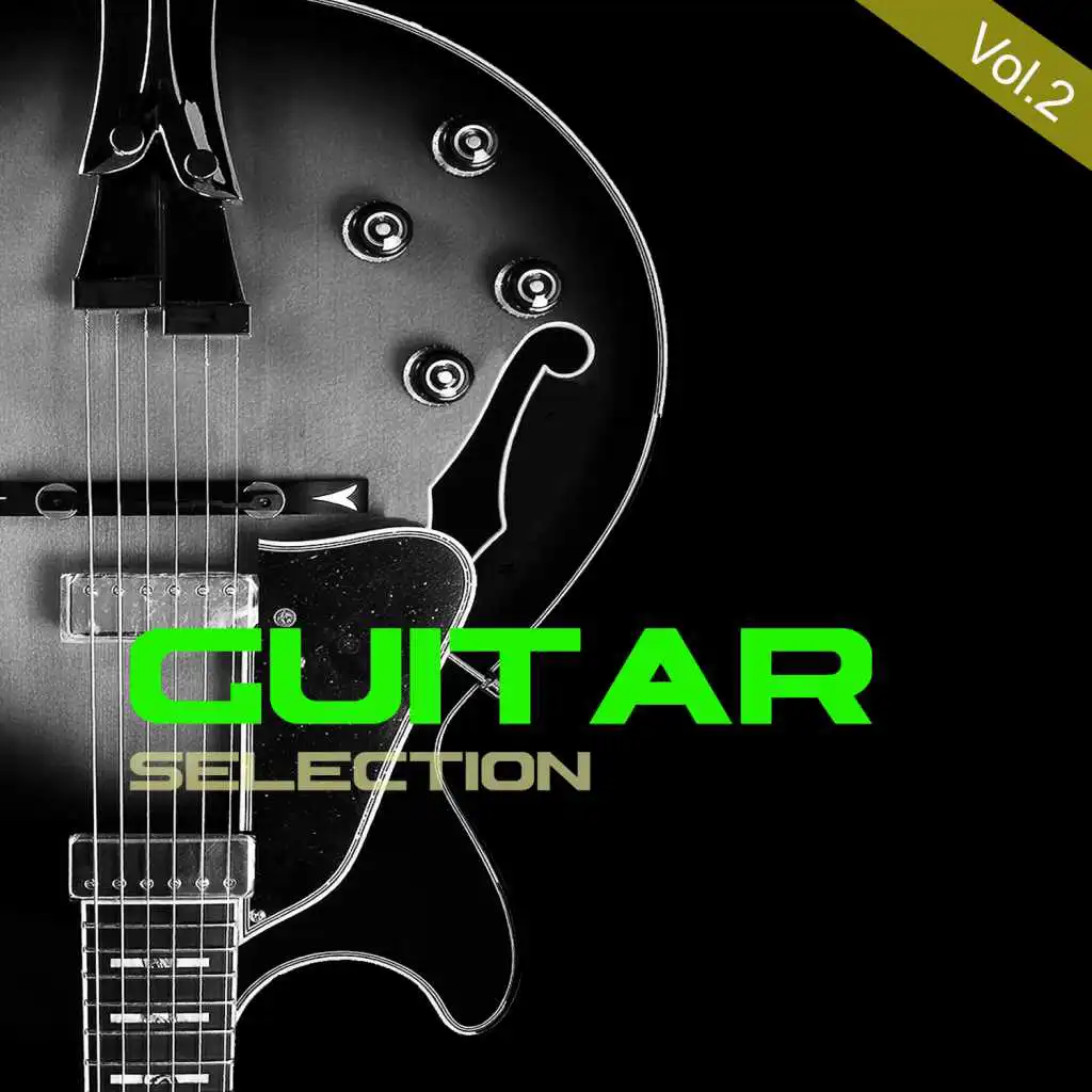 Guitar Selection, Vol. 2
