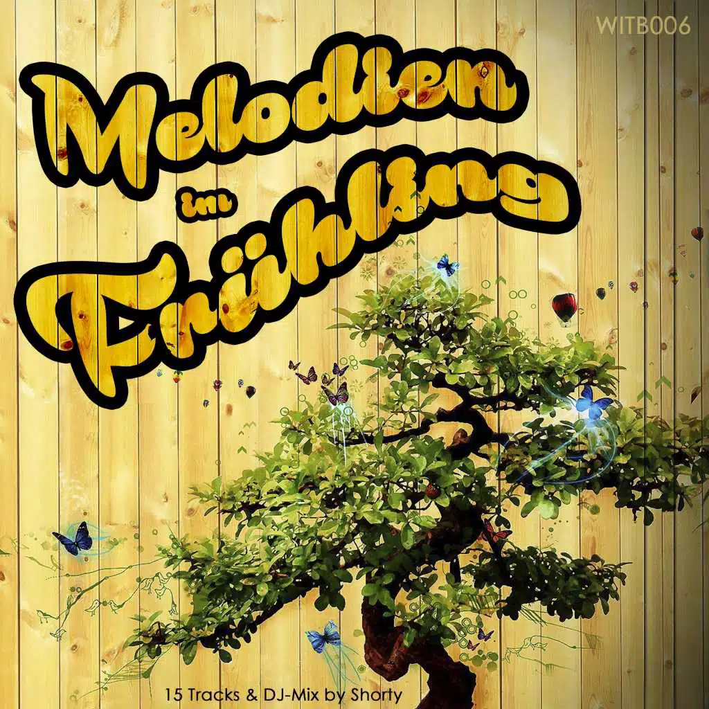 Soleil (Thomas Lizzara Remix) [feat. Flowa]