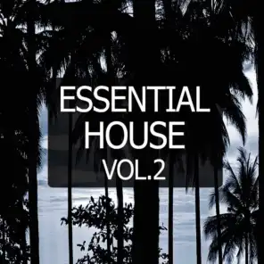 Essential House, Vol. 2