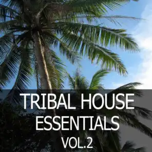 Tribal House Essentials, Vol. 2