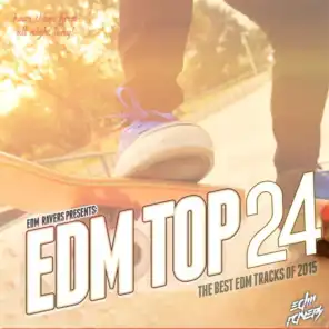 EDM Top 24 2015