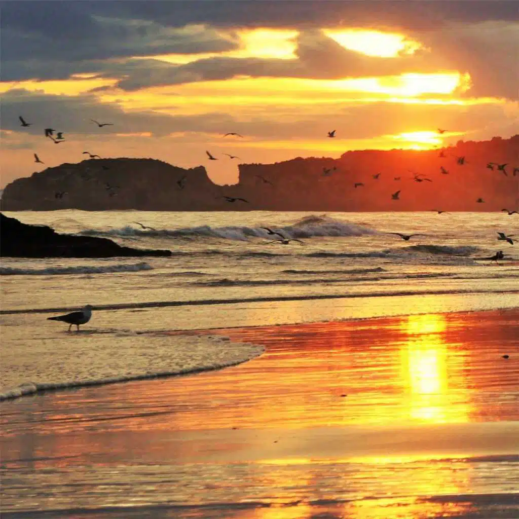 Moscow Balalaika Romance