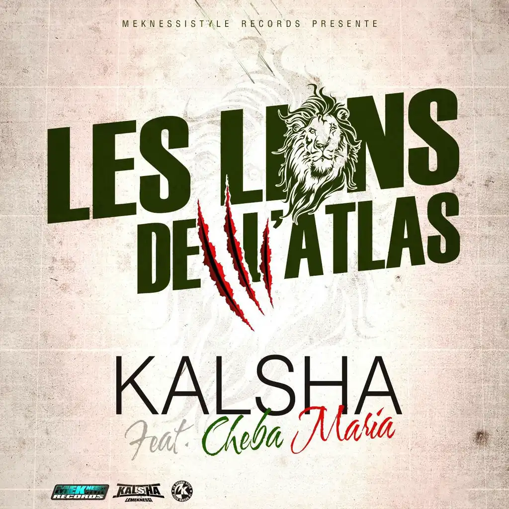 Lions de l'Atlas