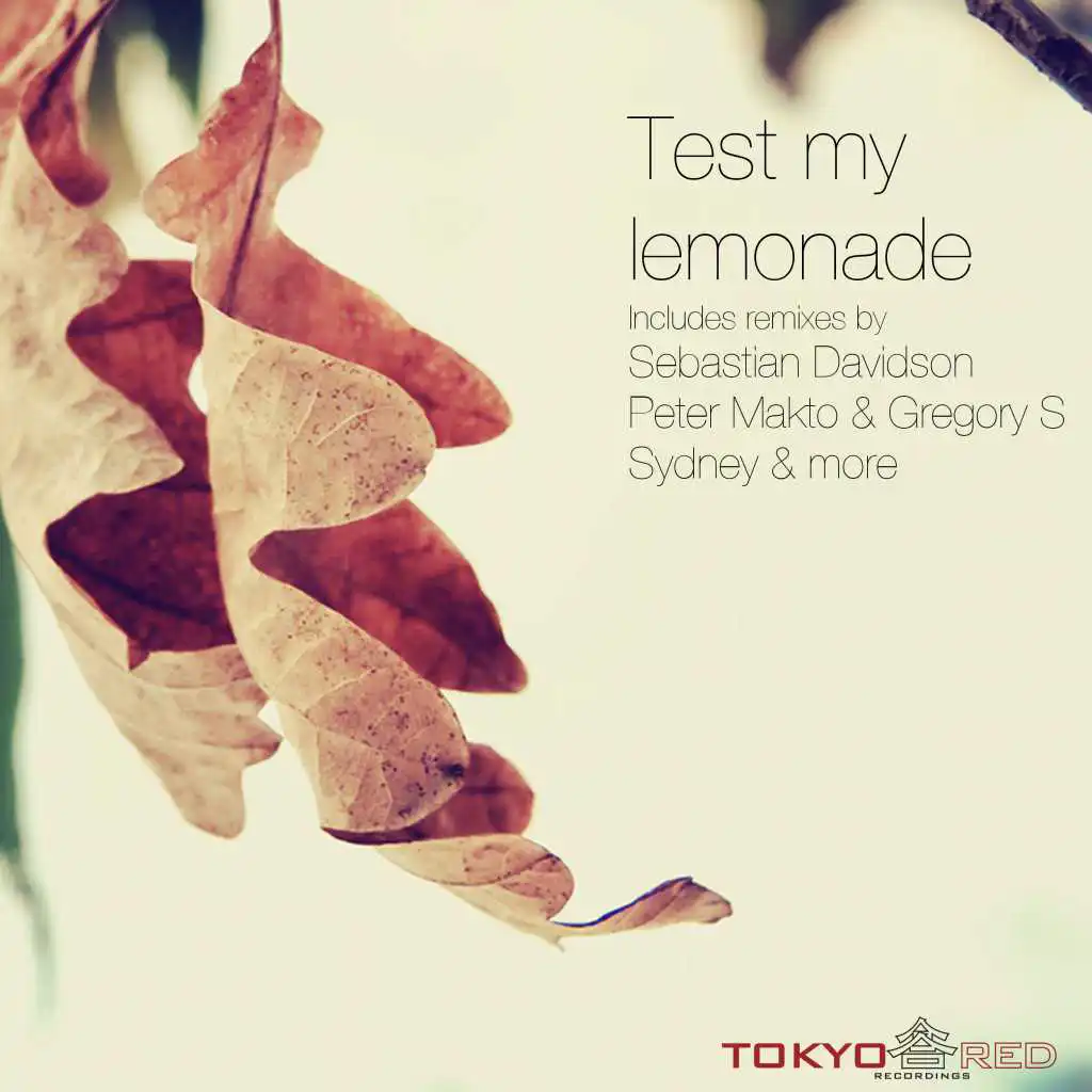 Test My Lemonade (Alberto Casallo Remix)