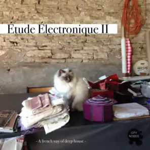 Etude Electronique II - A French Way of Deep House