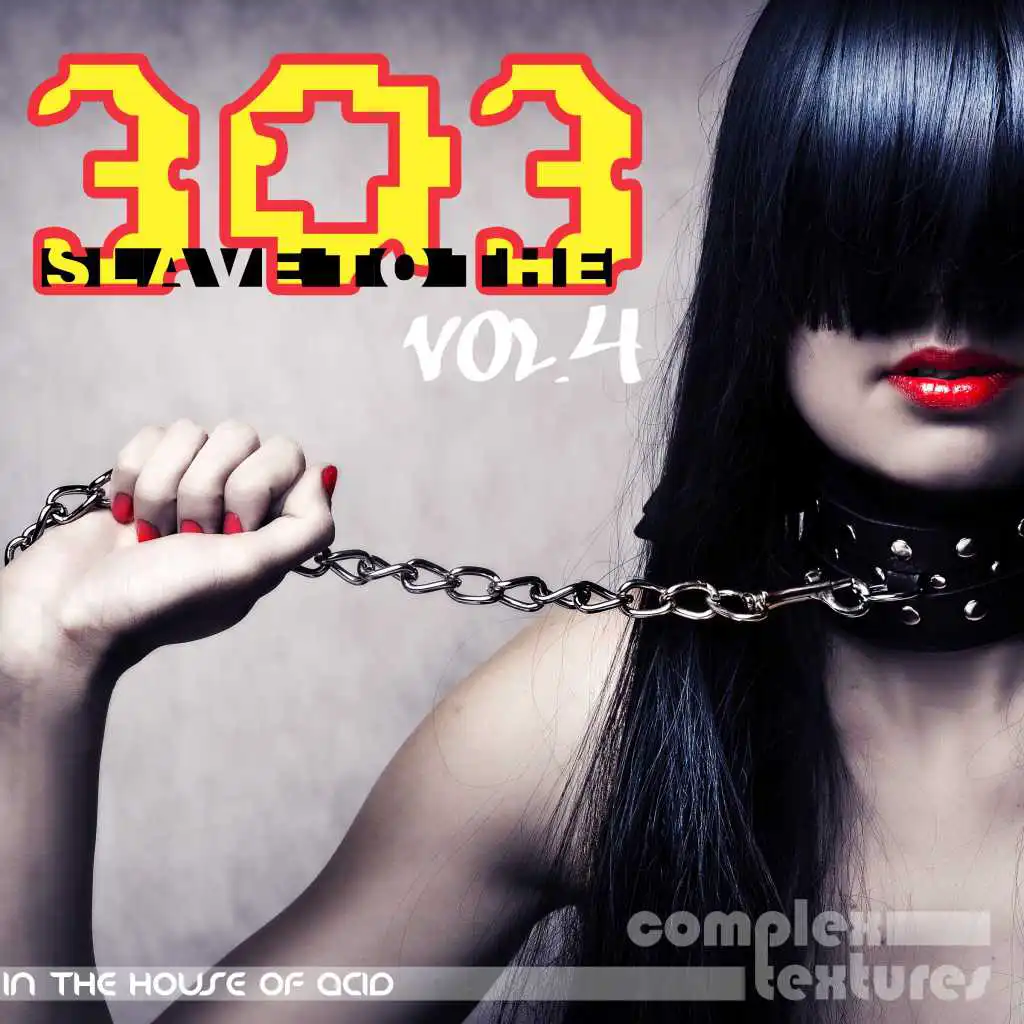 Slave to the 303, Vol. 4