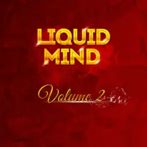 Liquid Mind Vol 2