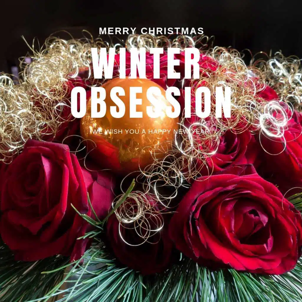 Winter Obsession (Christmas with your Stars)