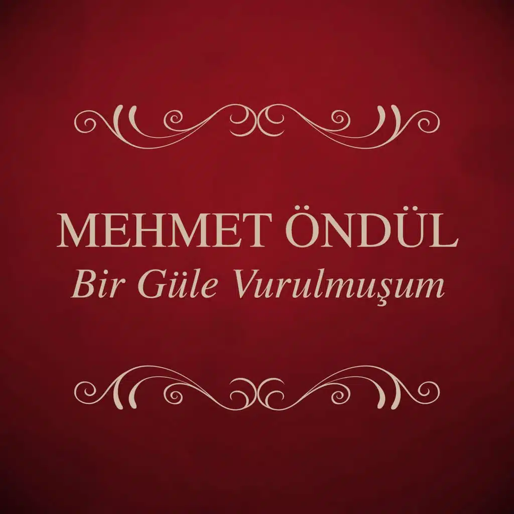 Bir Güle Vurulmuşum