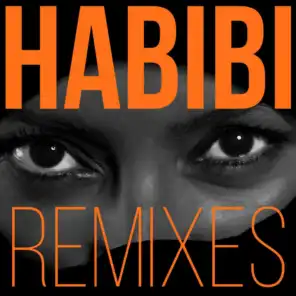 Habibi (Synthwave Remix) [feat. AnjelCity2]