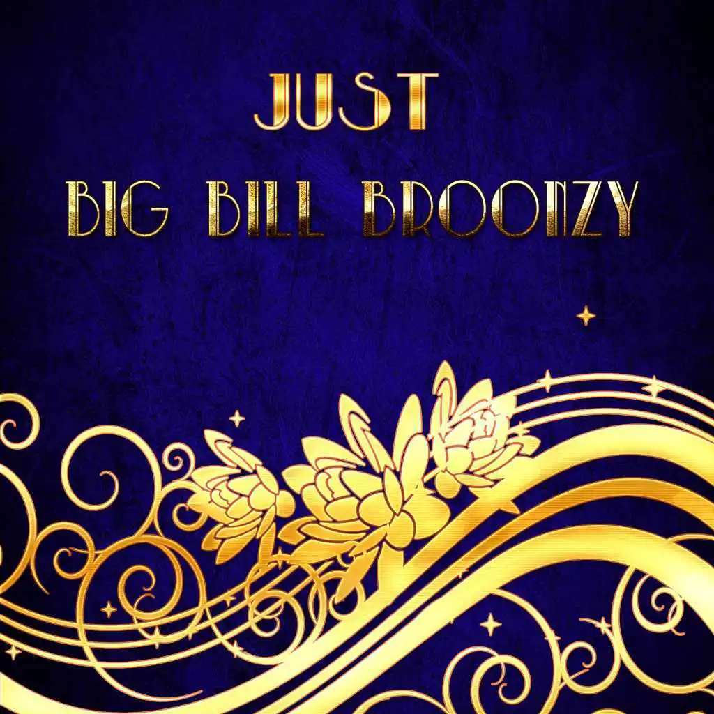 Just BIG BILL BROONZY