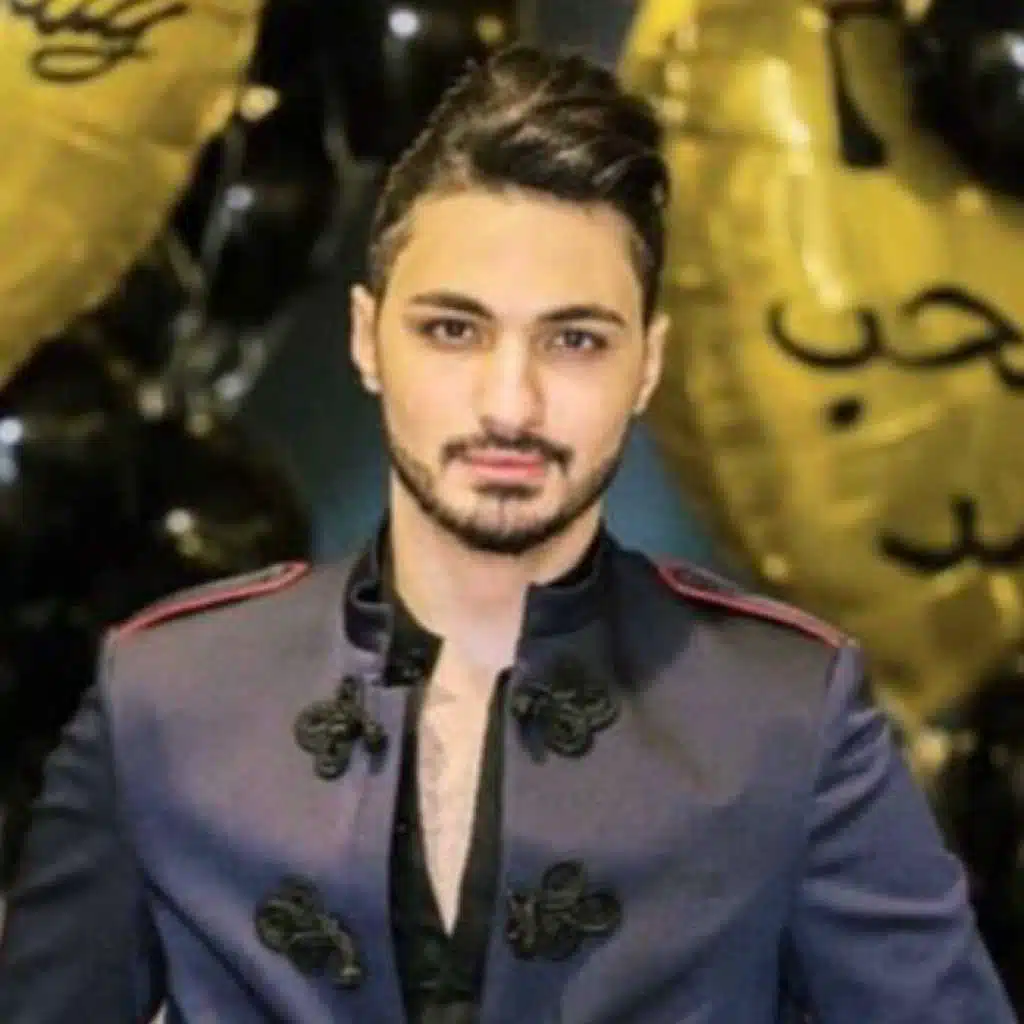 طير الحمام مجروح