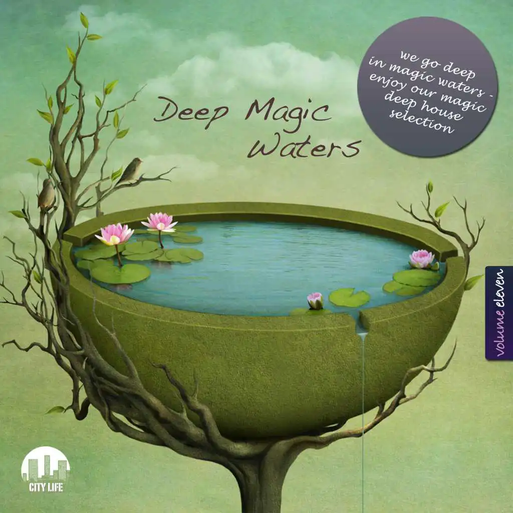 Deep Magic Waters, Vol. 11