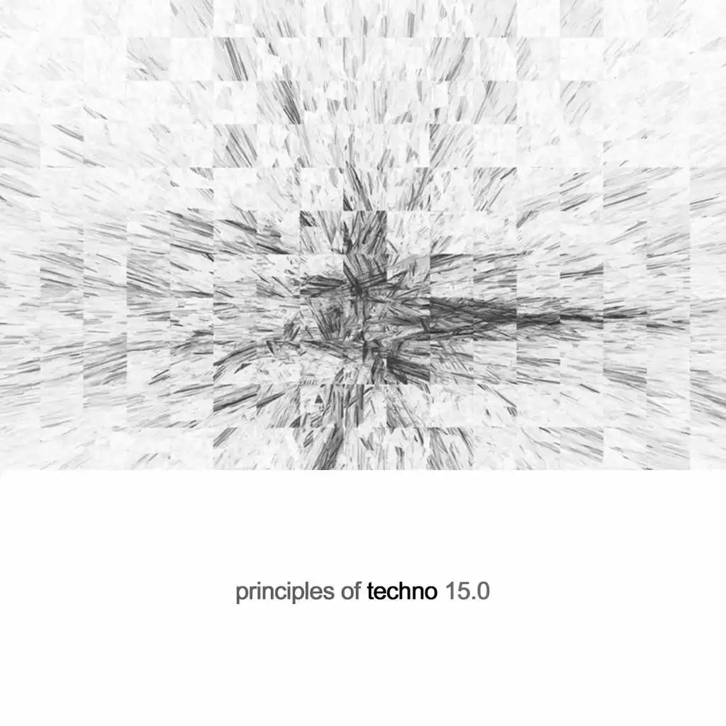 Principles of Techno, Vol. 15