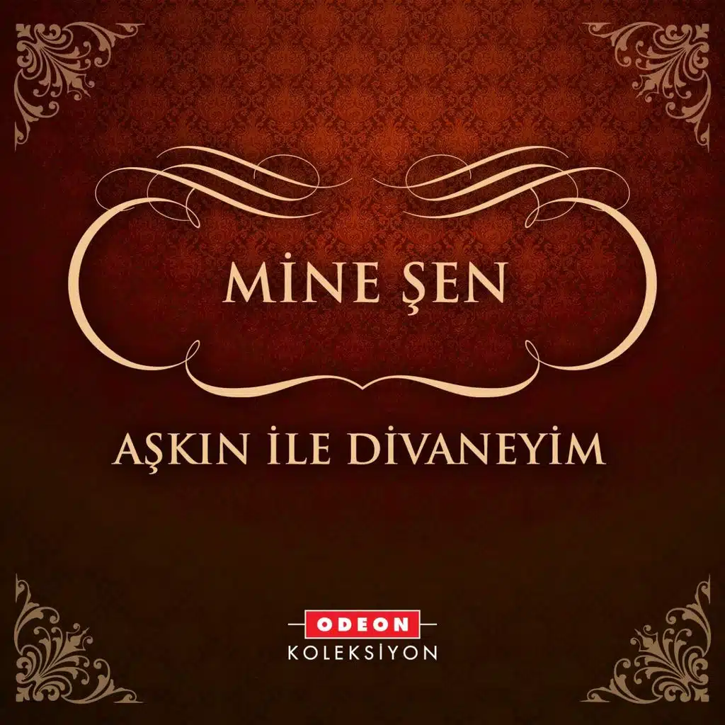 Aşkın İle Divaneyim