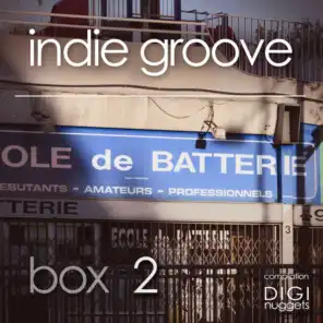 Indie Groove Box, Vol. 2