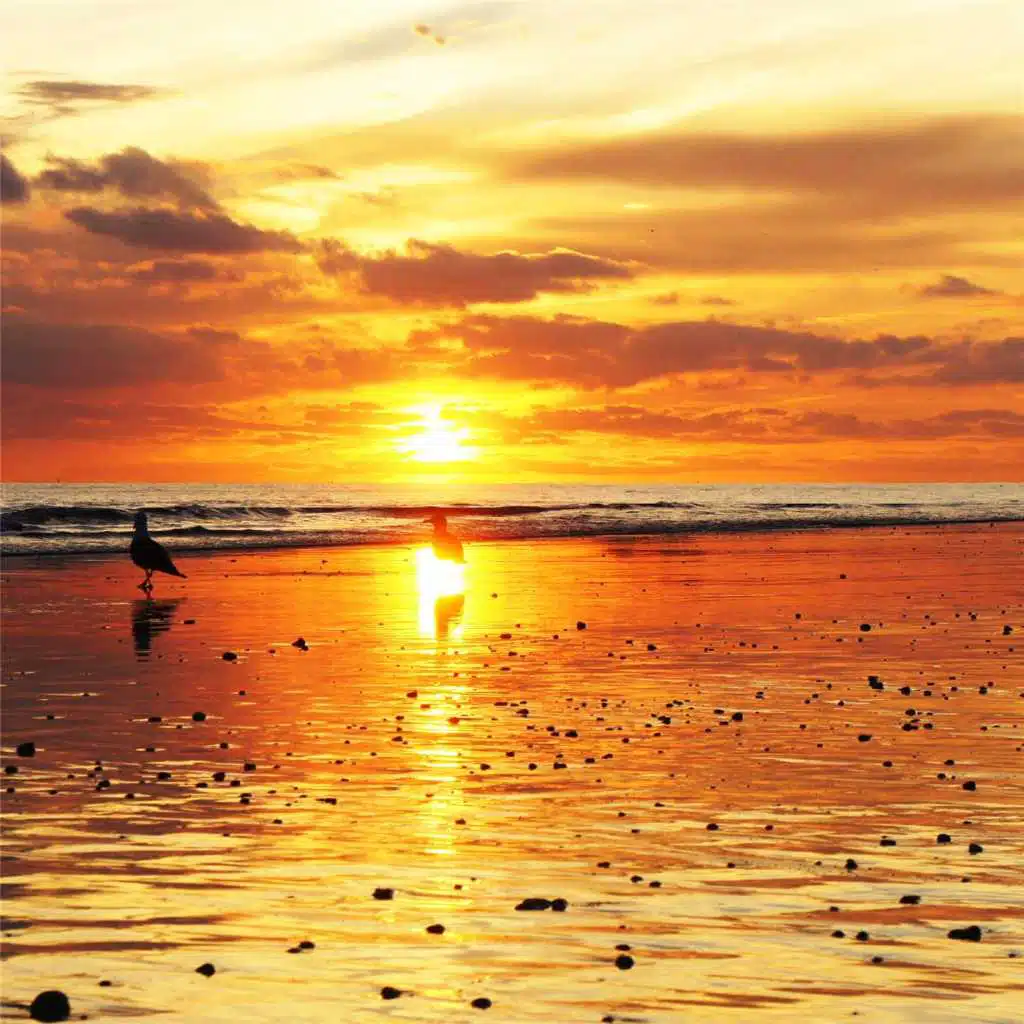 Baroque Guitar Toccata (feat. Anna Moor & Lana Ross)