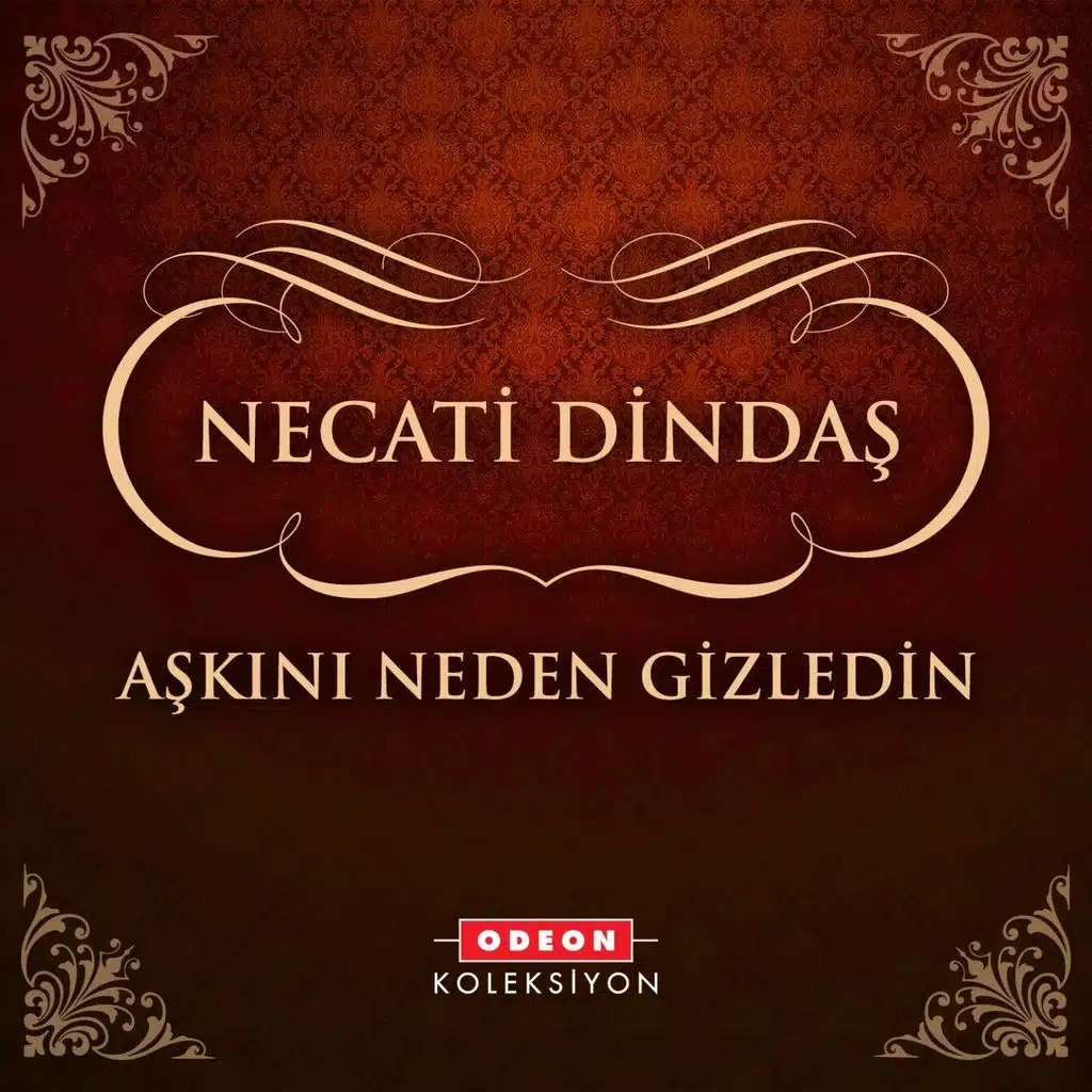 Aşkını Neden Gizledin?