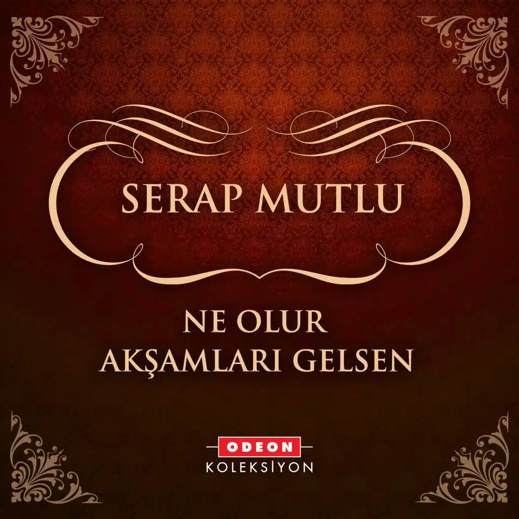 Ne Olur Akşamları Gelsen