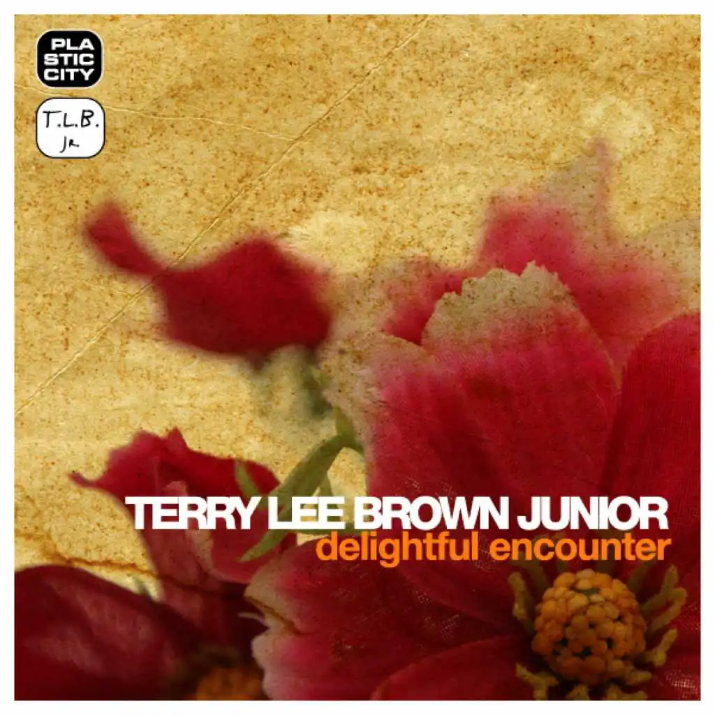 Delightful Encounter (Terry's Deeplightful Edit) [feat. Terry Lee Brown Junior]