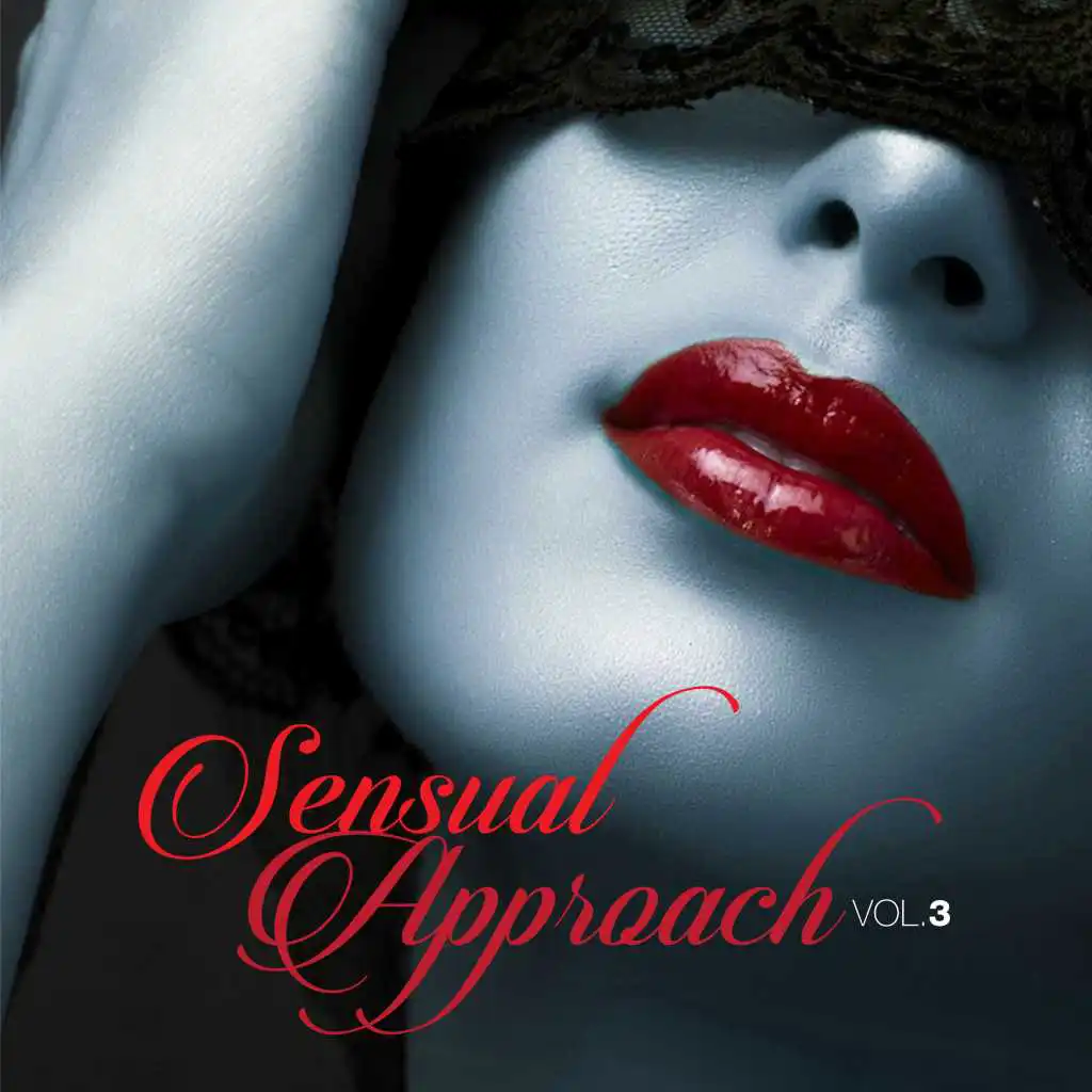 Sensual Approach, Vol. 3