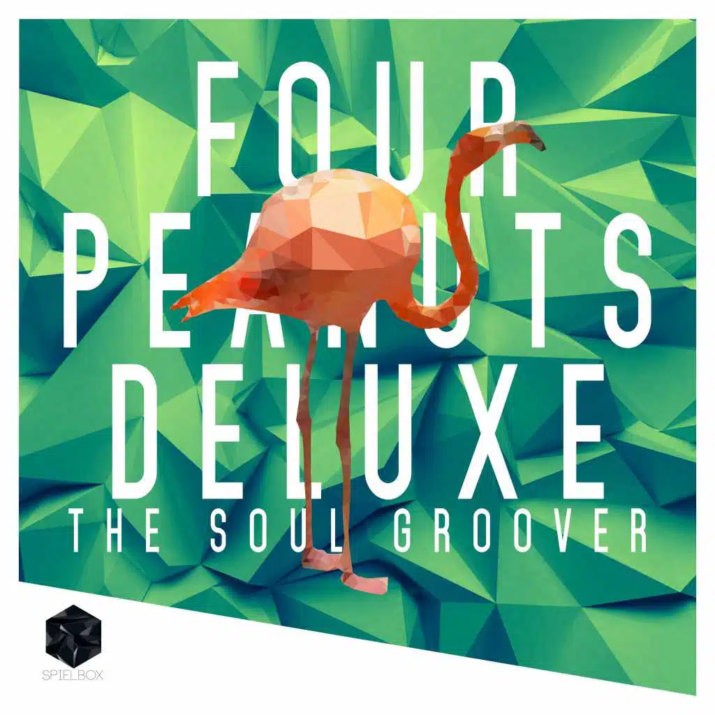 The Soul Groover