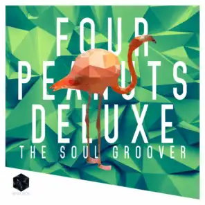 The Soul Groover