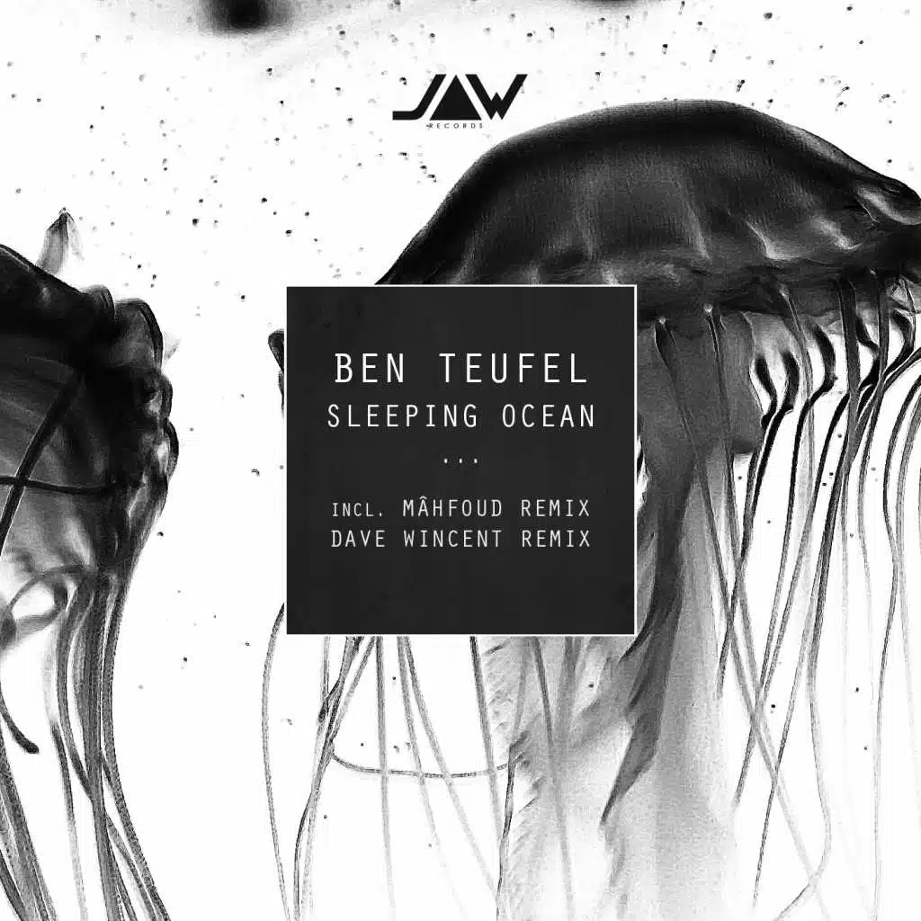 Sleeping Ocean (Dave Wincent Remix)