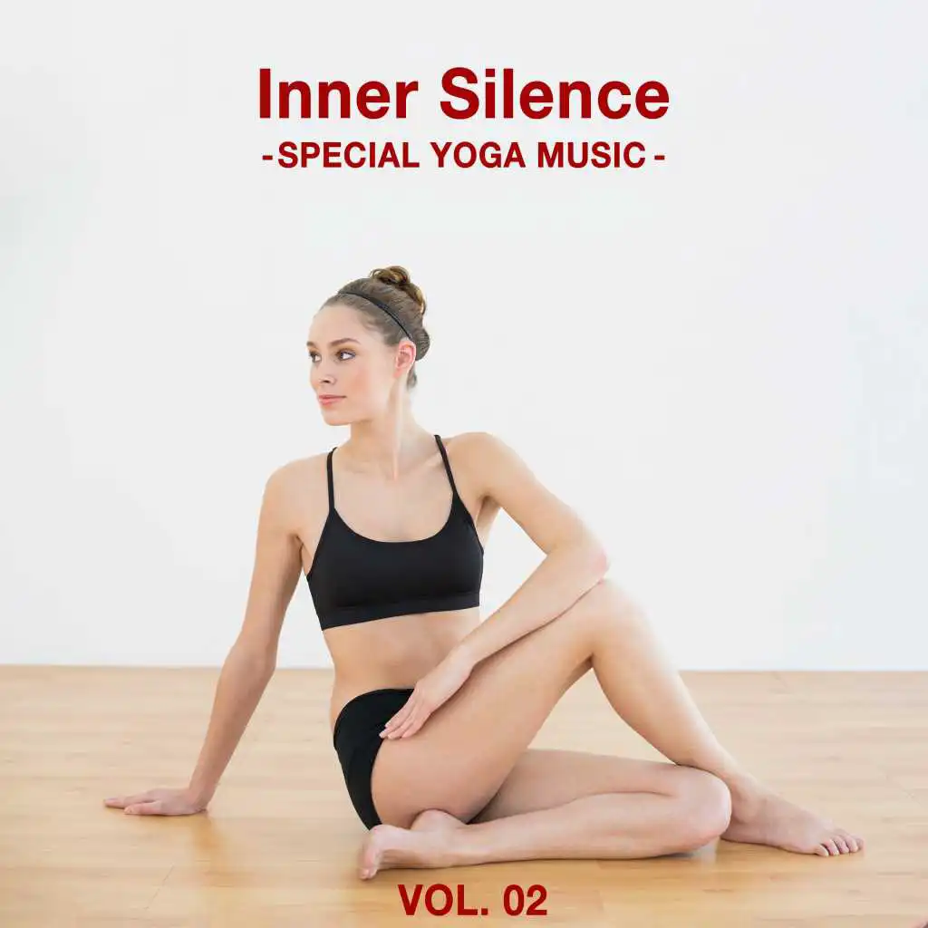 Inner Silence, Vol. 02 - Special Yoga Music