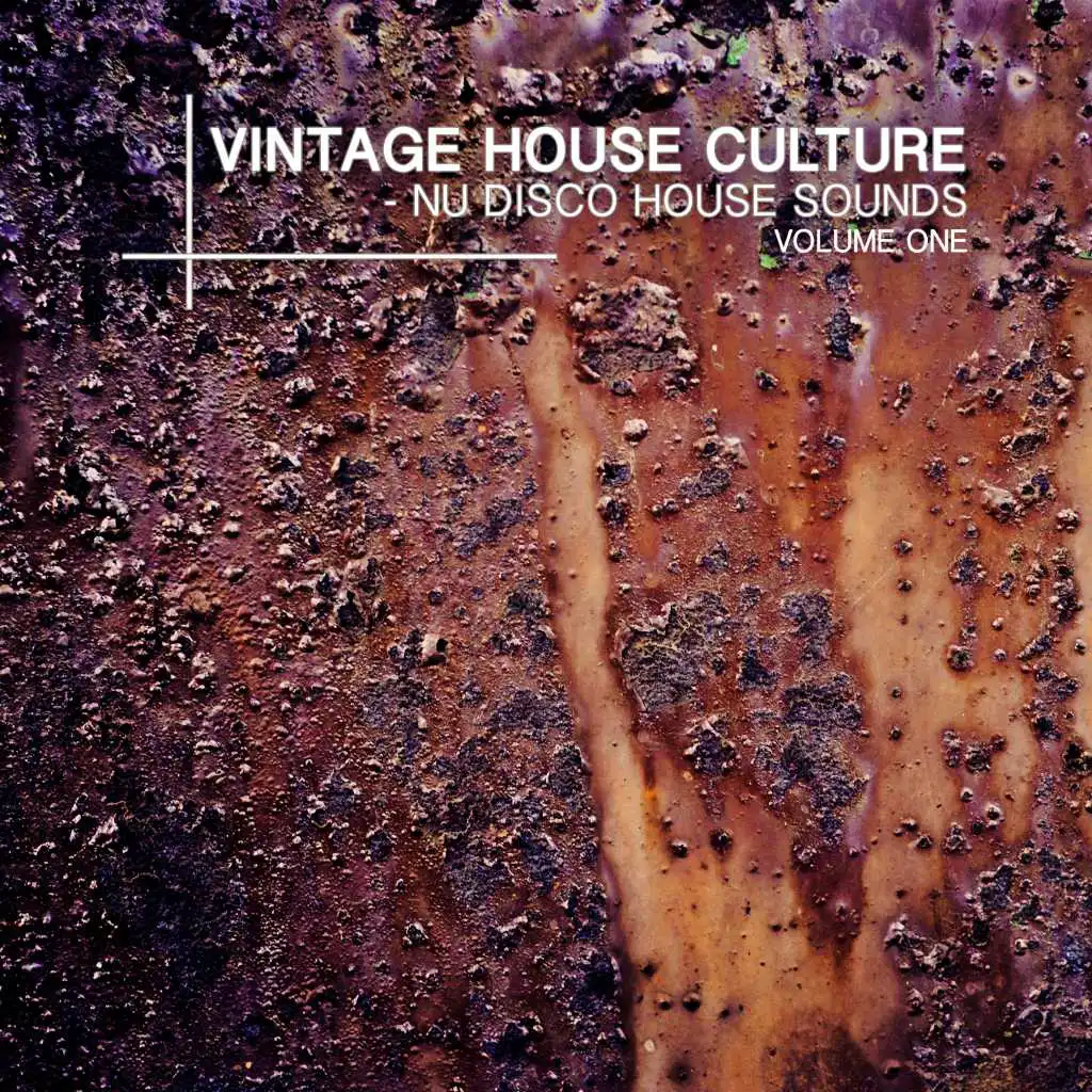 Vintage House Culture, Vol. 1 - Nu Disco House Sounds