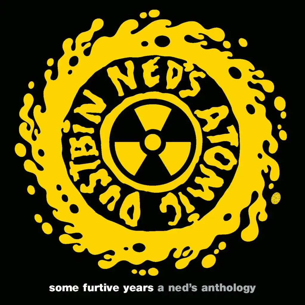 some furtive years  -  a ned's anthology