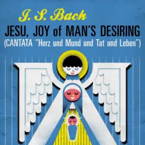 J. S. Bach Jesu, Joy of Man's Desiring (Cantata "Herz und Mund und Tat und Leben")