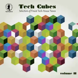 Tech Cubes, Vol. 11 - Selection of Finest Tech-House Tunes!
