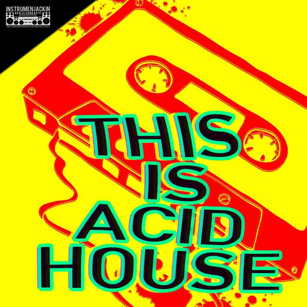 This Is Acid House